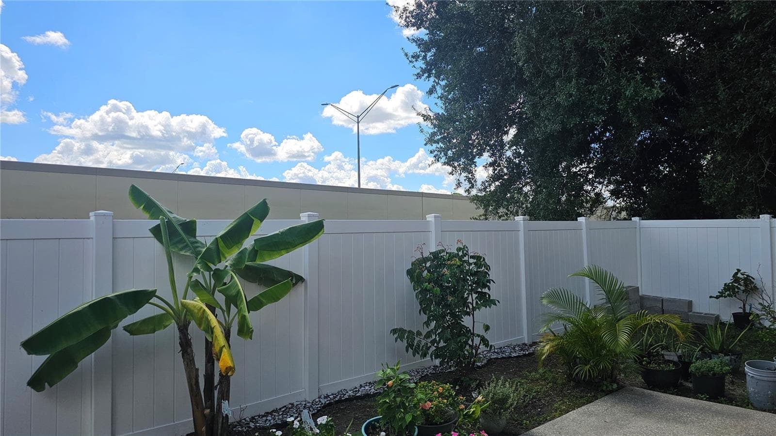Backyard w/Tropical Fruit Trees - 8632 FOLEY DR, ORLANDO
