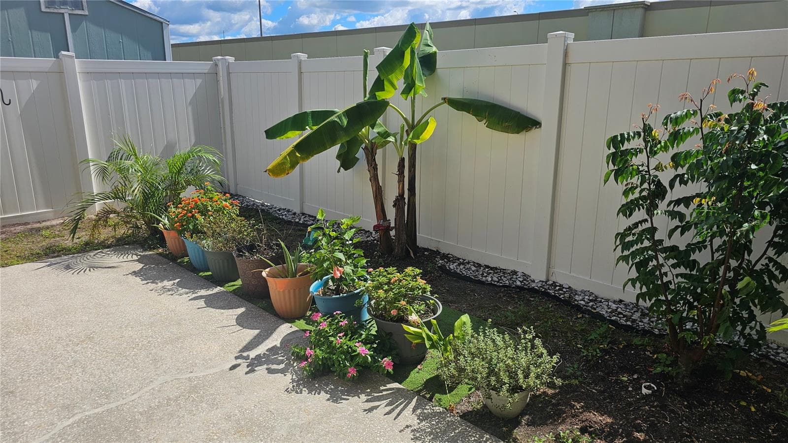 Backyard w/Fruit Trees & Vinyl Fenceard - 8632 FOLEY DR, ORLANDO