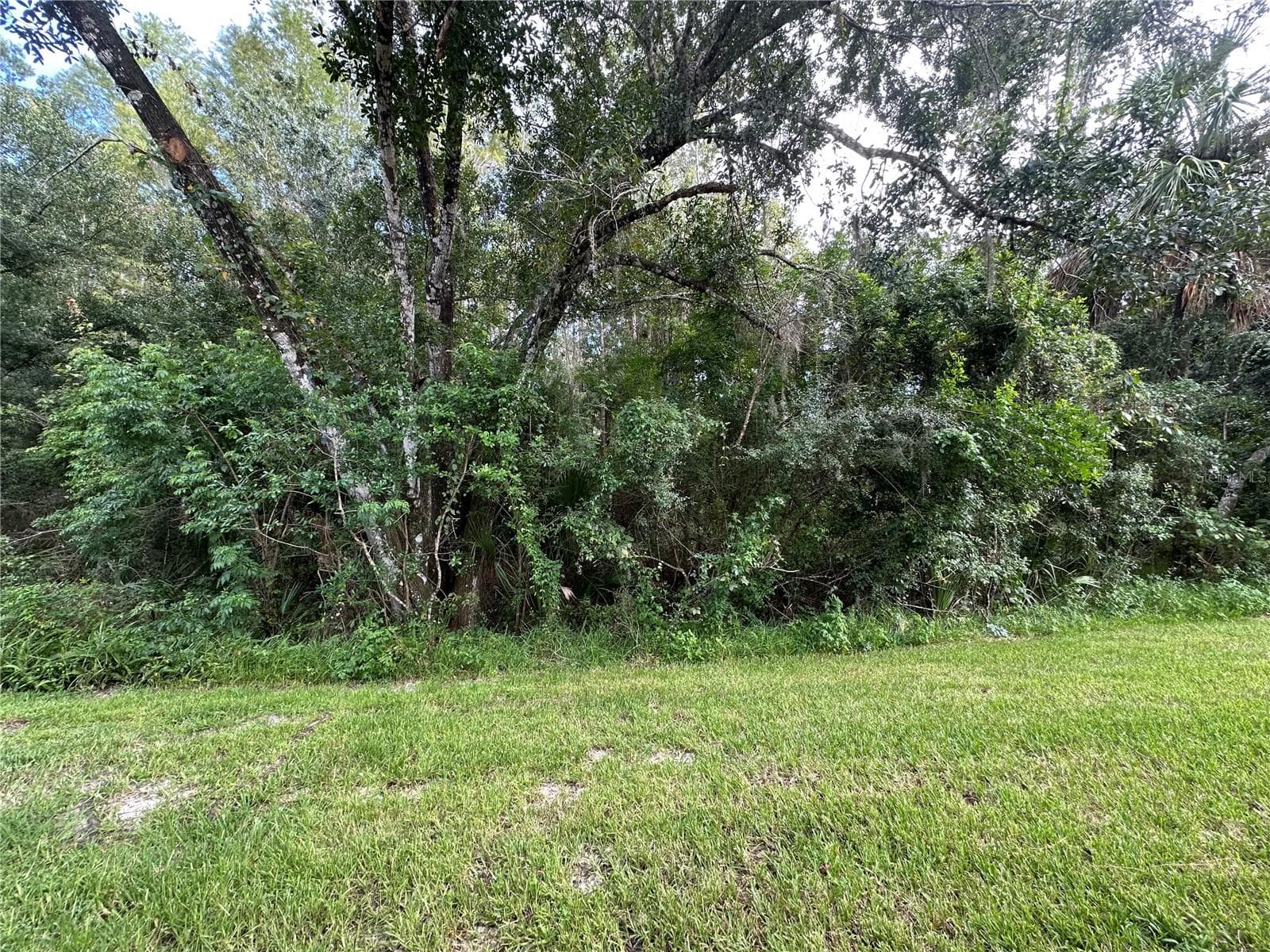 Townhouse at 8627 HUNTERS KEY CIR, TAMPA, photo 15 of 18