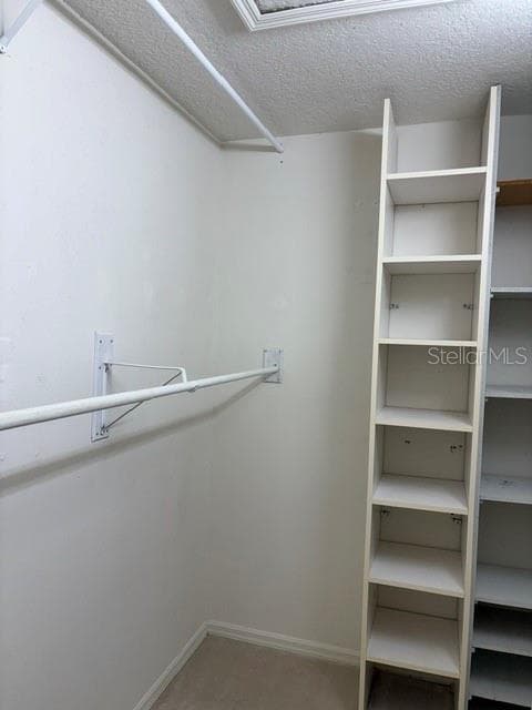 Primary Closet - 402 DATE PALM CT NE, ST PETERSBURG