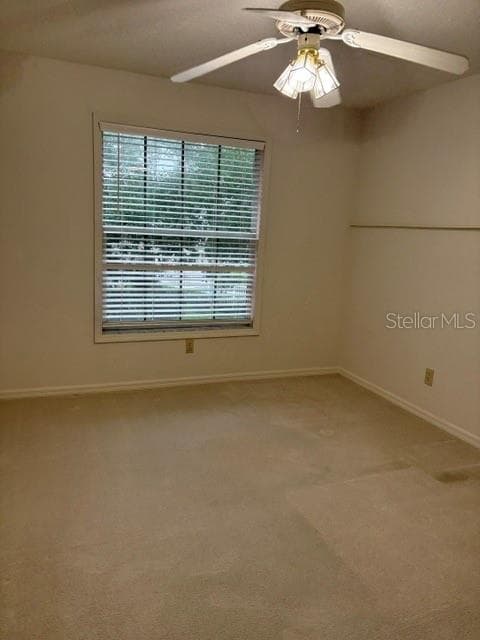 2nd bedroom - 402 DATE PALM CT NE, ST PETERSBURG