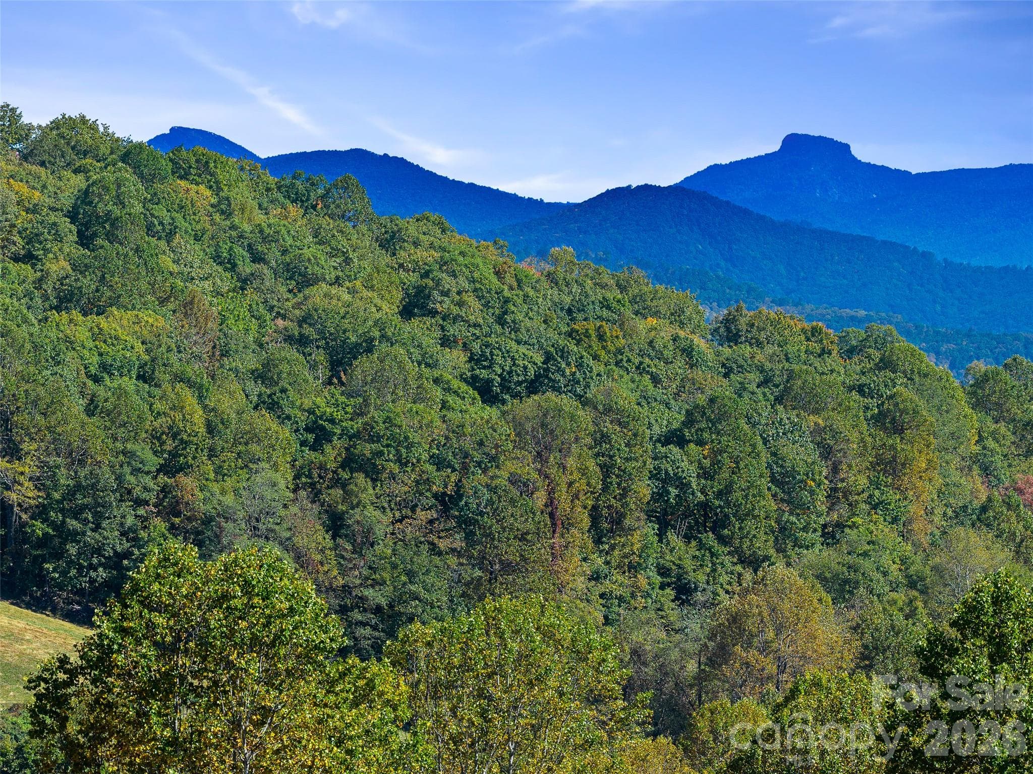 TBD Chestnut Grove Road