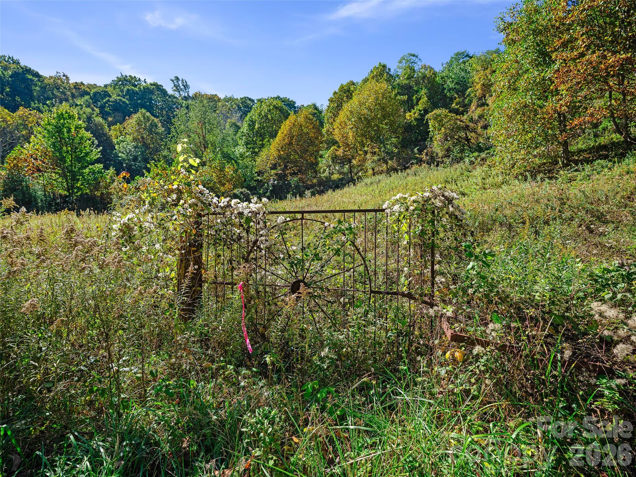 Acreage at TBD Chestnut Grove Road, Spruce Pine, photo 6 of 35