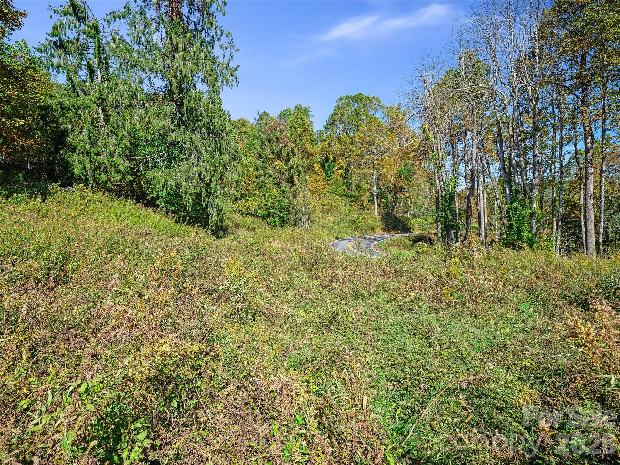 Acreage at TBD Chestnut Grove Road, Spruce Pine, photo 8 of 35