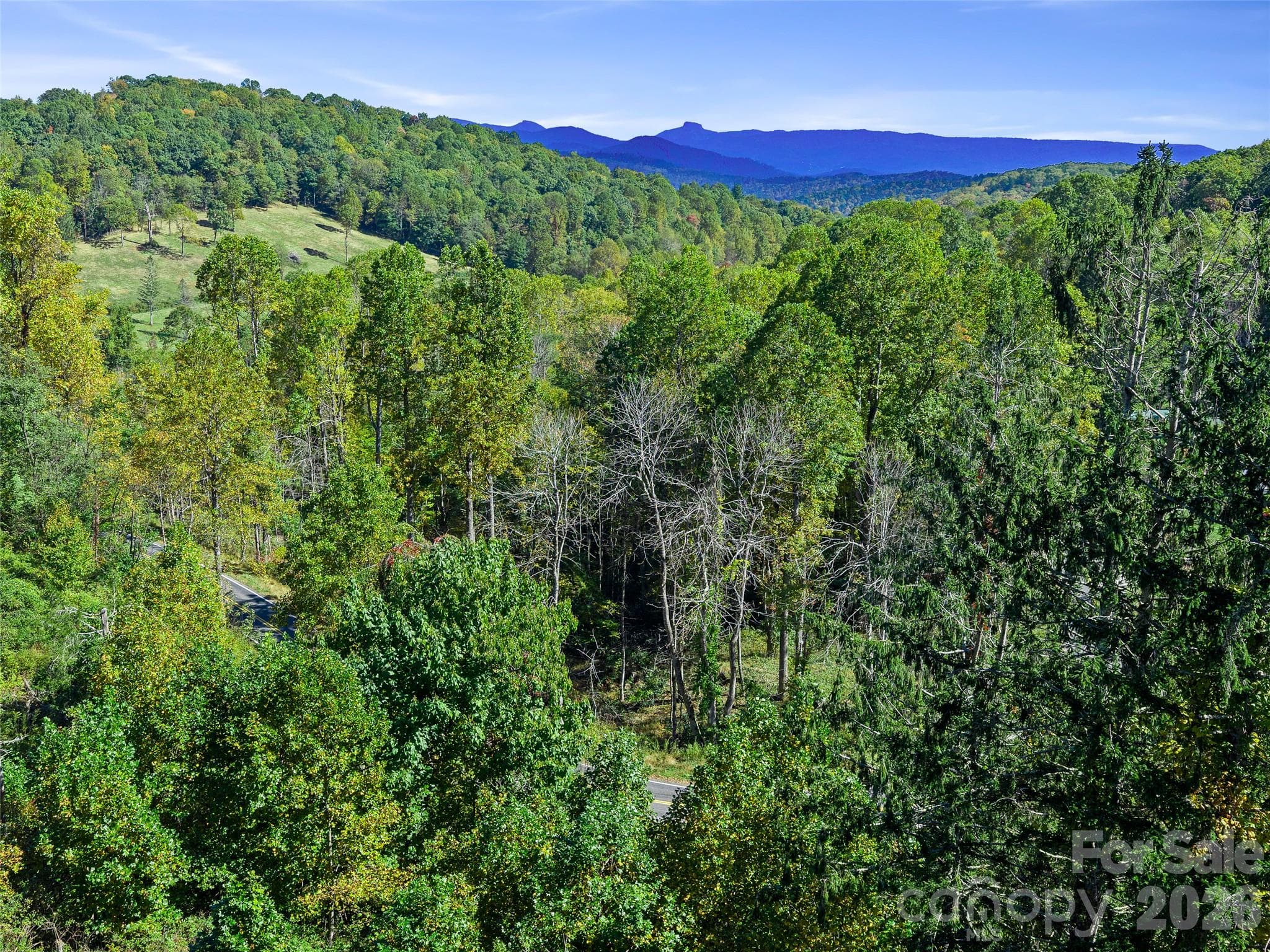 Acreage at TBD Chestnut Grove Road, Spruce Pine, photo 10 of 35