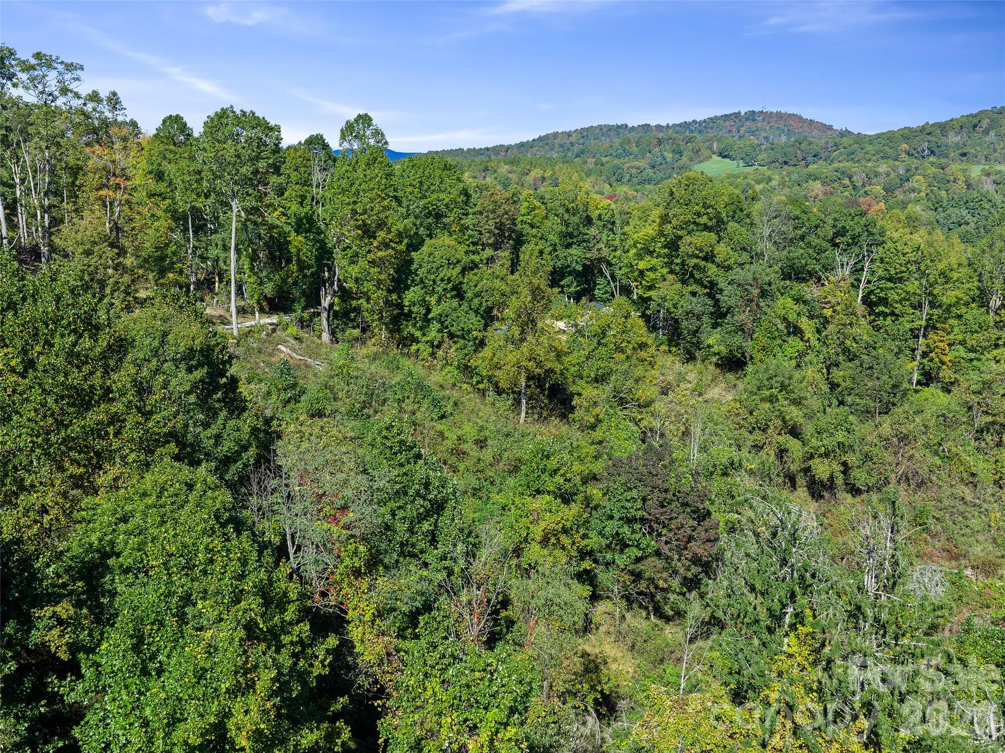 Acreage at TBD Chestnut Grove Road, Spruce Pine, photo 17 of 35