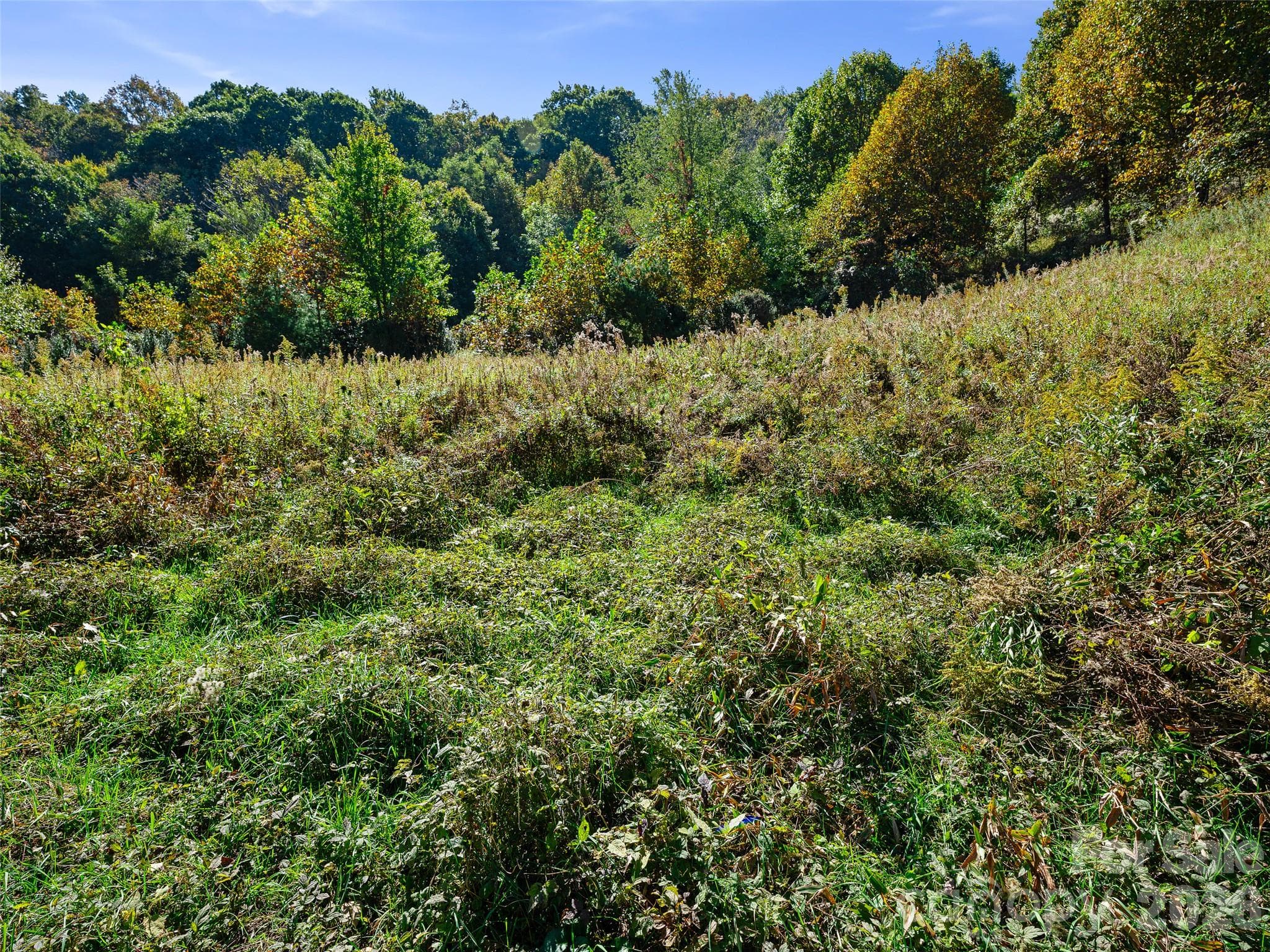 Acreage at TBD Chestnut Grove Road, Spruce Pine, photo 26 of 35
