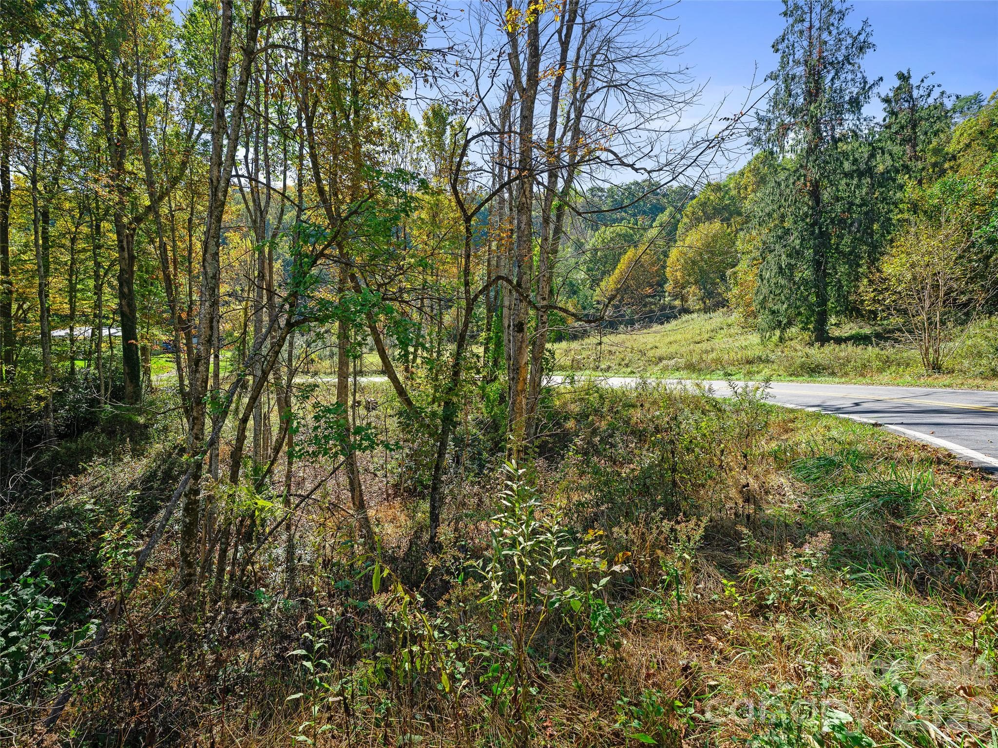 Acreage at TBD Chestnut Grove Road, Spruce Pine, photo 30 of 35