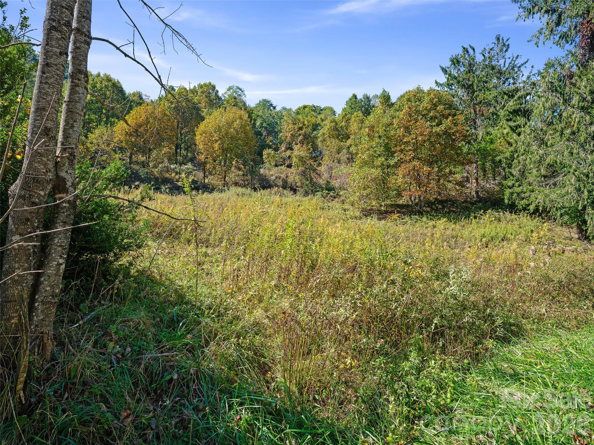 Acreage at TBD Chestnut Grove Road, Spruce Pine, photo 33 of 35