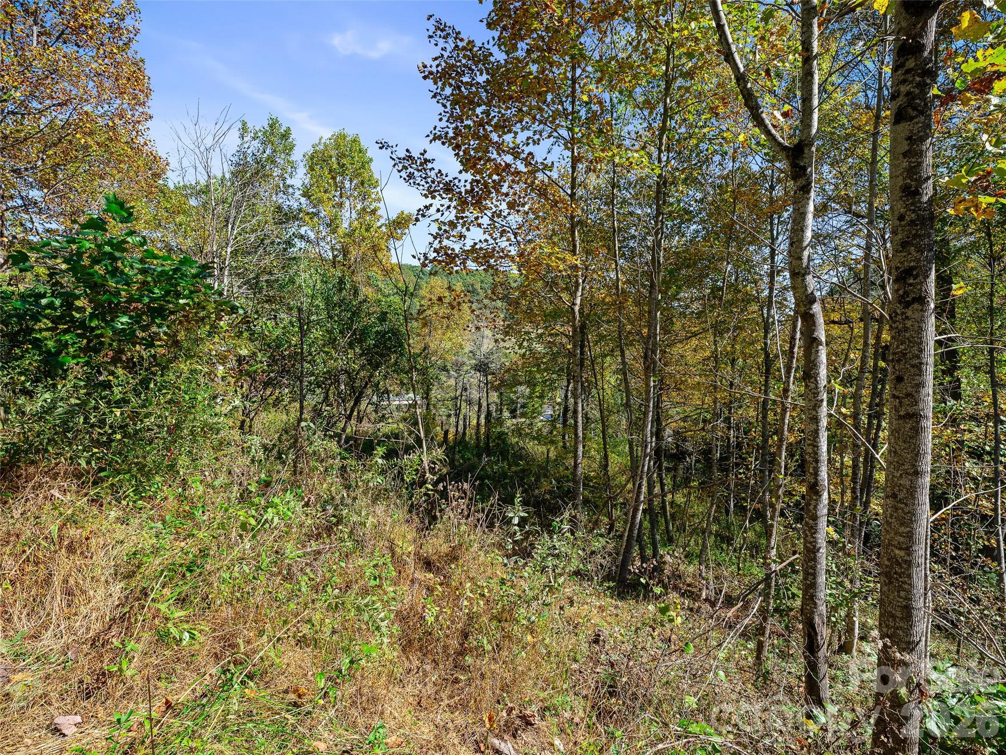 Acreage at TBD Chestnut Grove Road, Spruce Pine, photo 34 of 35