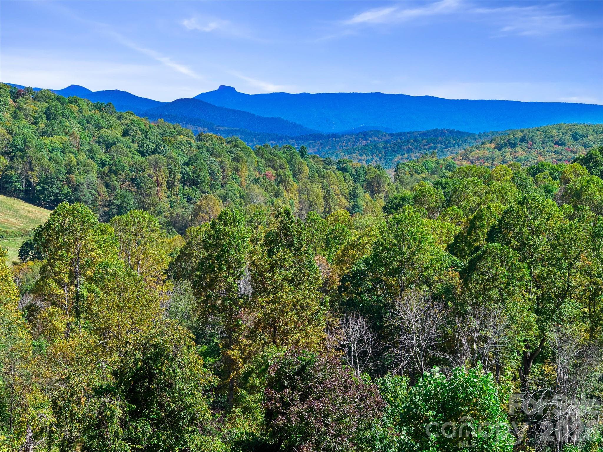 Acreage at TBD Chestnut Grove Road, Spruce Pine, photo 35 of 35