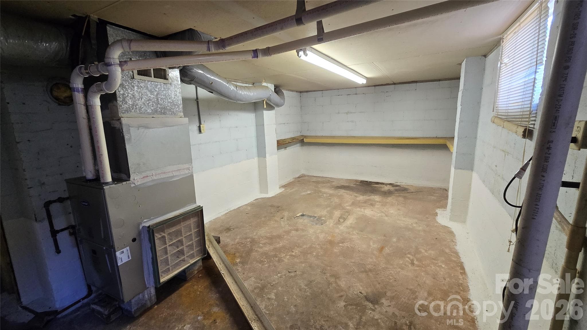 Basement - 114 School Street, Belmont