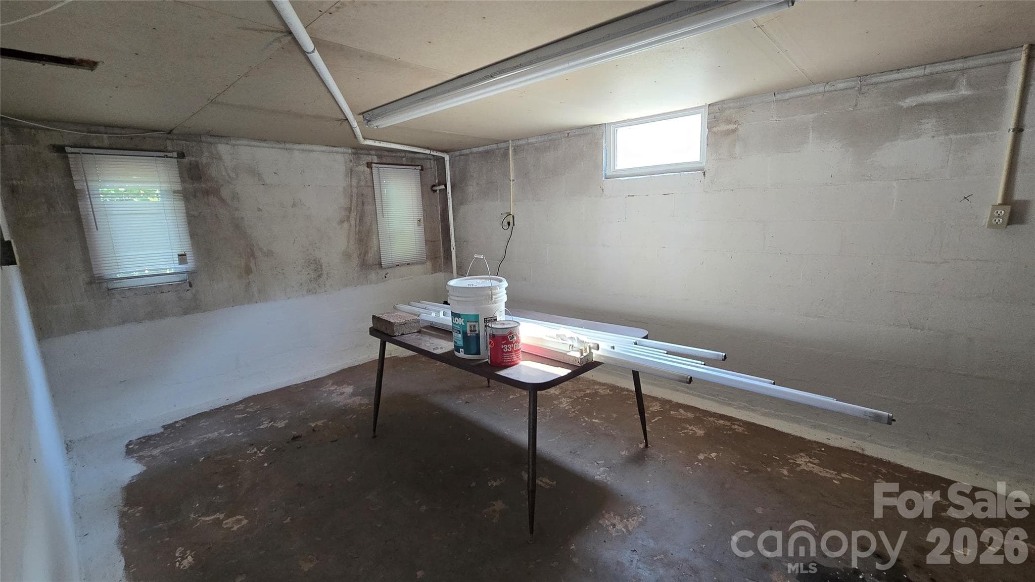 Basement - 114 School Street, Belmont