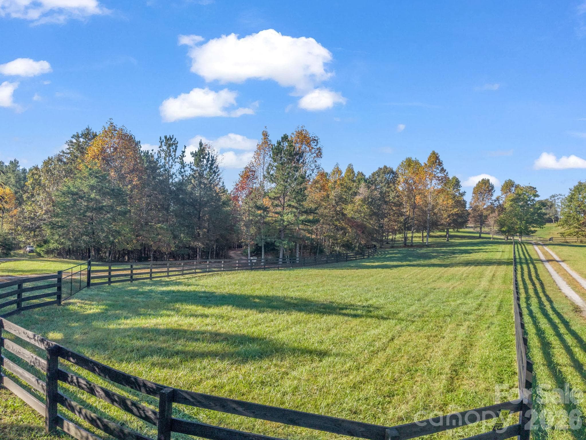 8+ acres of cleared pasture space, fencing added - 140 Blazing Star Lane, Mill Spring