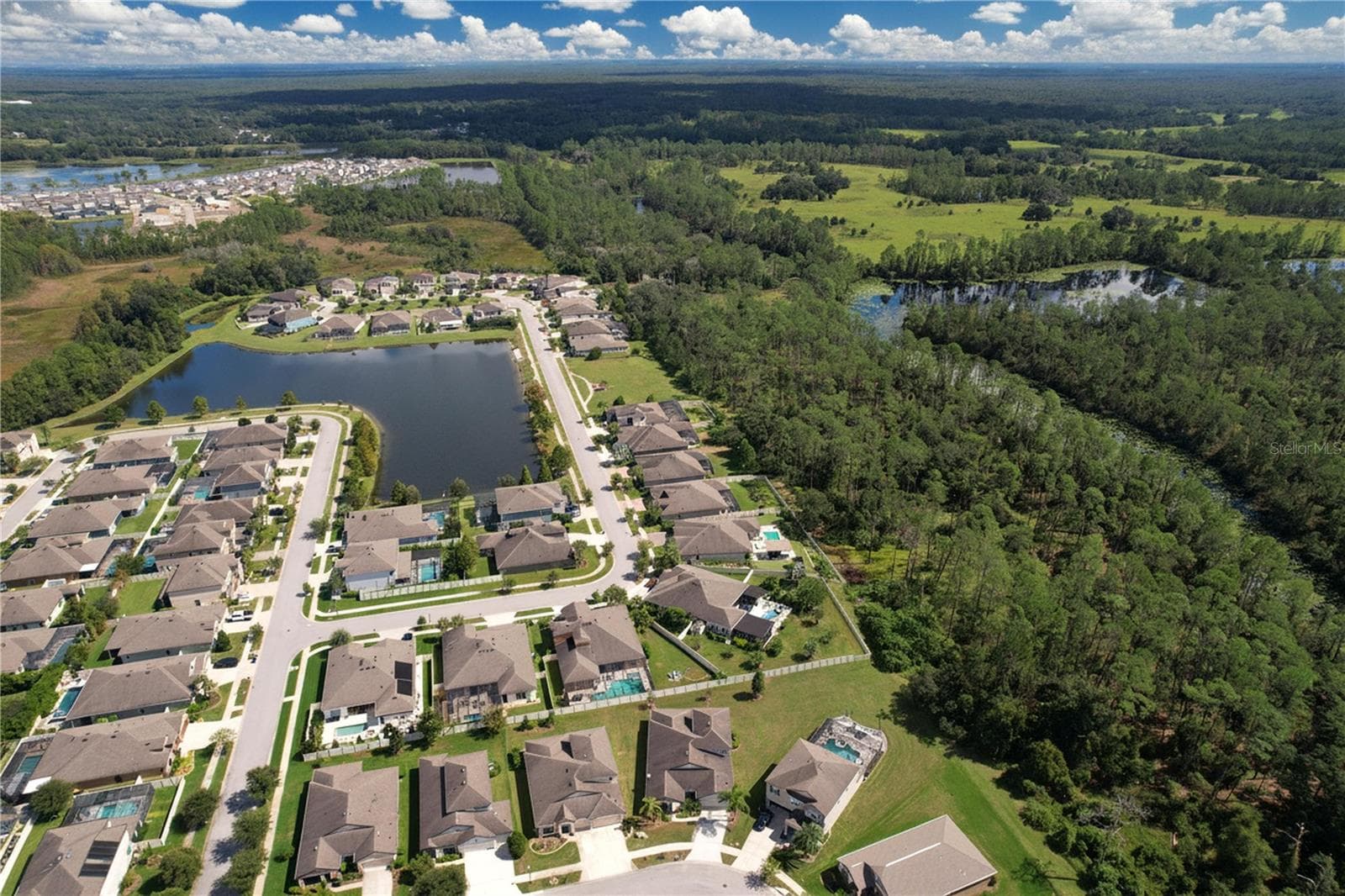 Single Family Residence at 8144 SEQUESTER LOOP, LAND O LAKES, photo 56 of 56