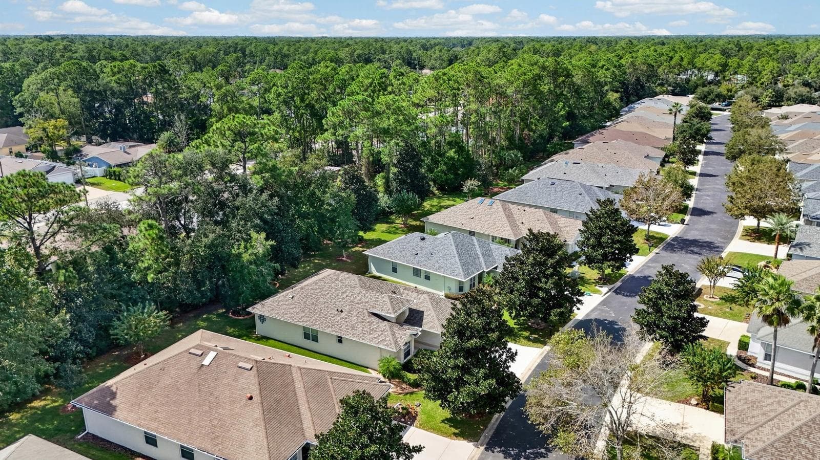 Single Family Residence at 142 RAINTREE CIR, PALM COAST, photo 44 of 58