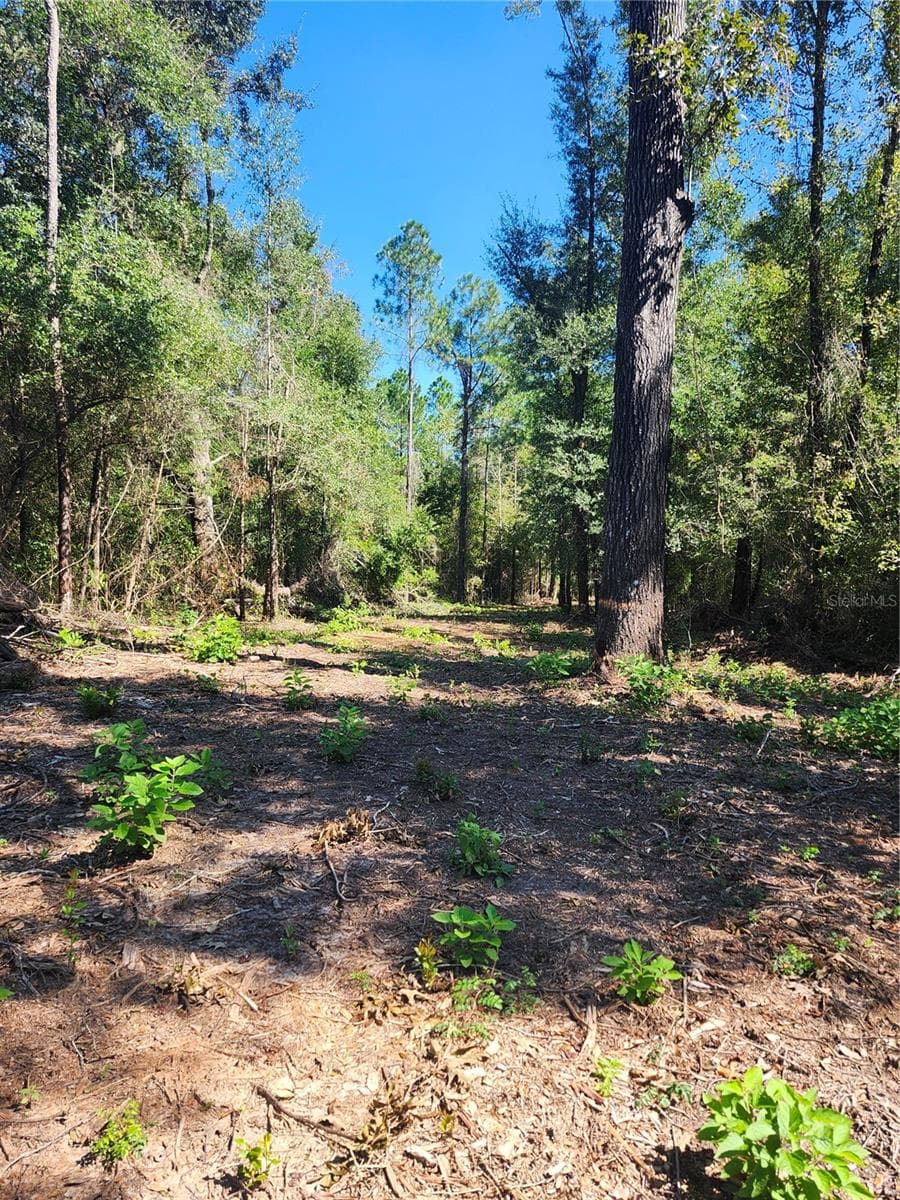 Land at MARCUS DR, GREENWOOD, photo 5 of 21