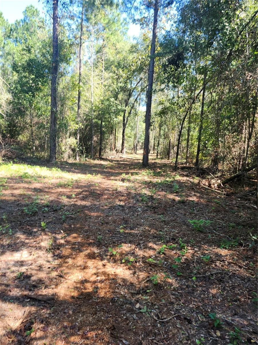 Land at MARCUS DR, GREENWOOD, photo 6 of 21
