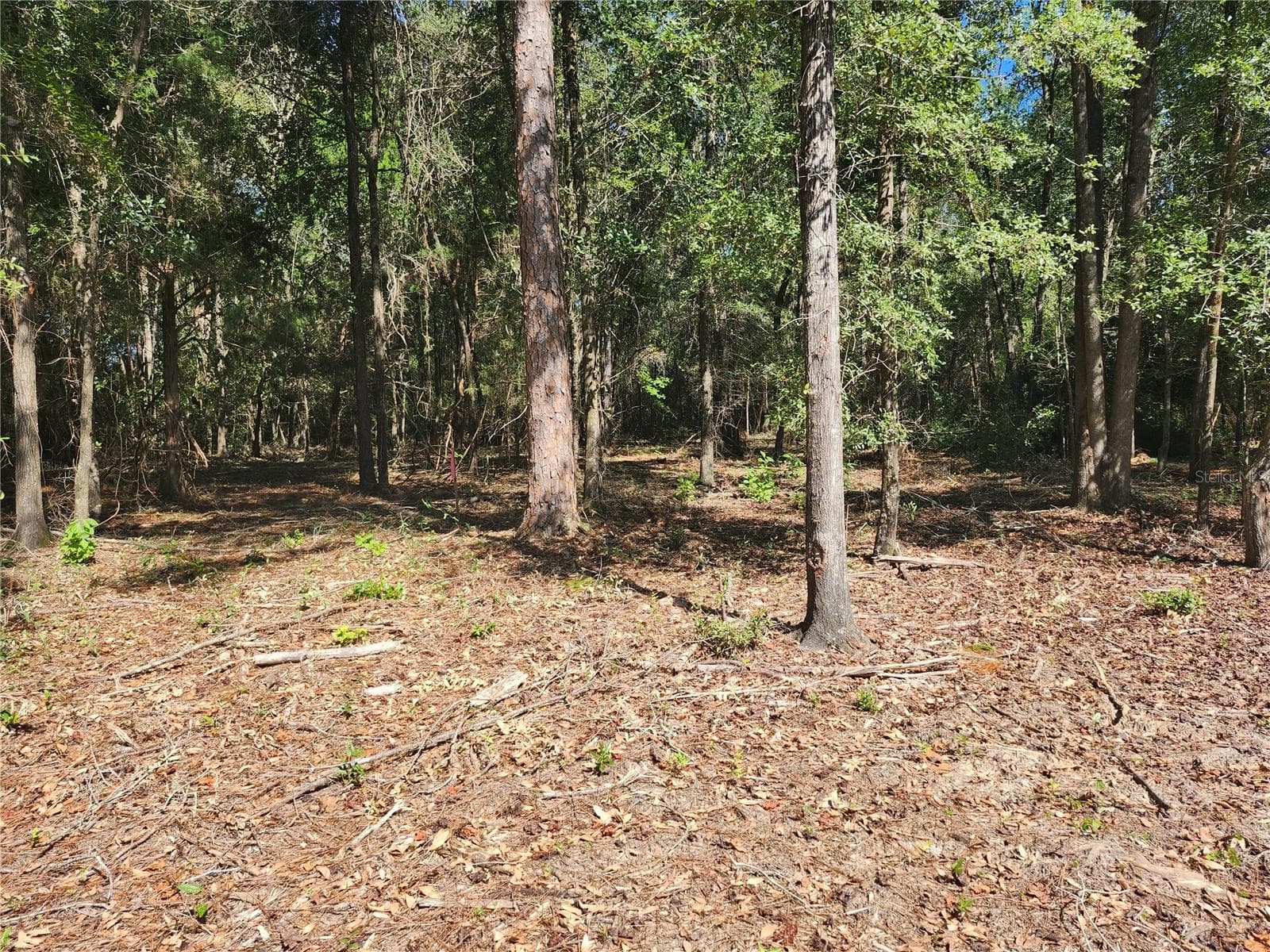 Land at MARCUS DR, GREENWOOD, photo 9 of 21