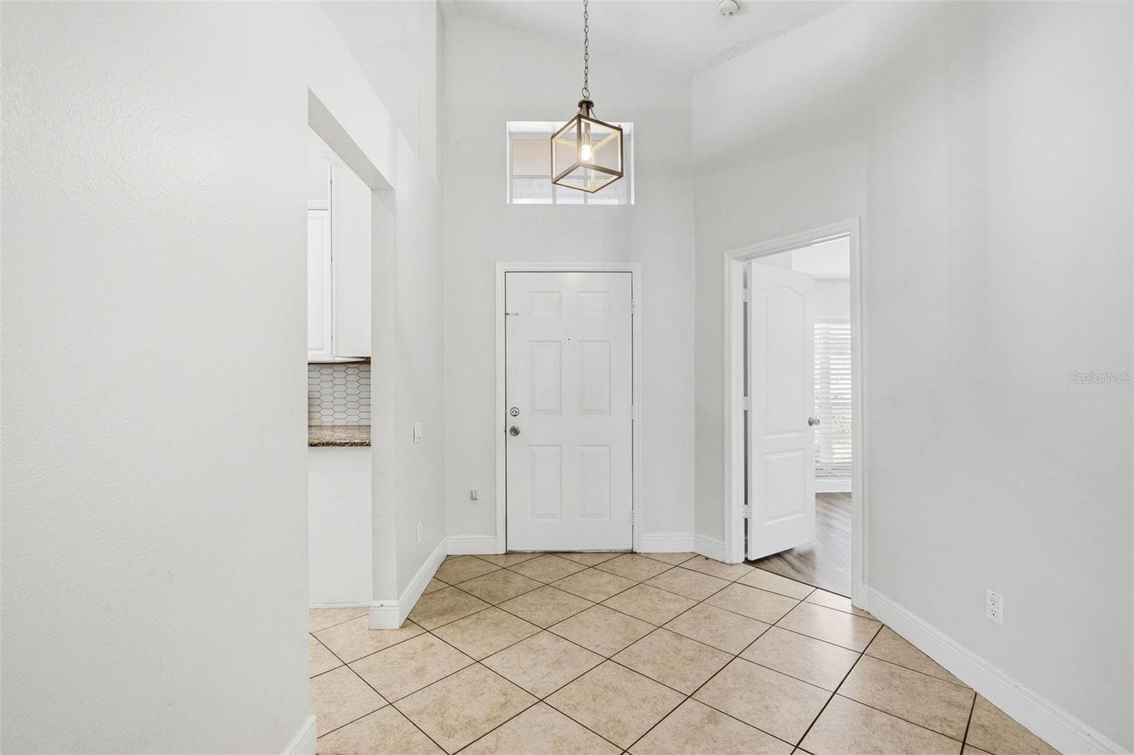 FRONT DOOR ENTRY - 29002 OLD MARSH, WESLEY CHAPEL