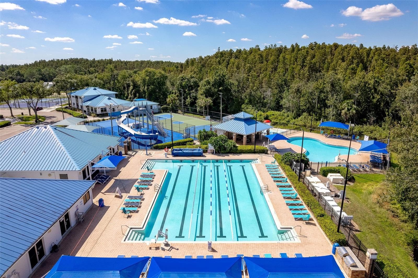 COMMUNITY POOL - 29002 OLD MARSH, WESLEY CHAPEL