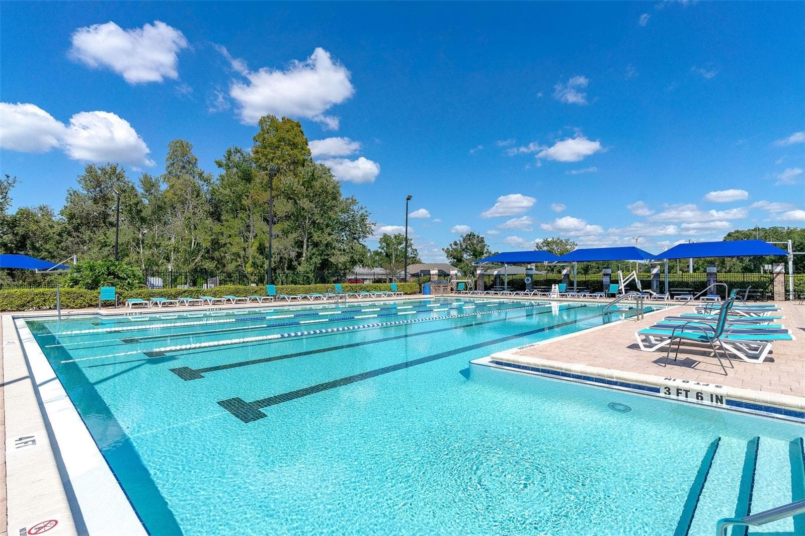 COMMUNITY POOL - 29002 OLD MARSH, WESLEY CHAPEL