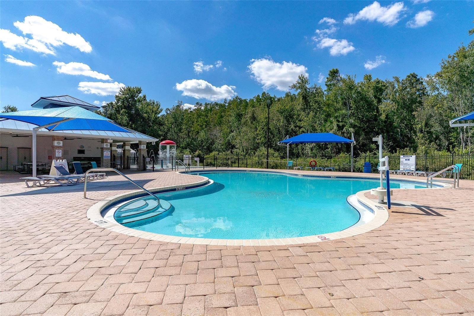 COMMUNITY POOL - 29002 OLD MARSH, WESLEY CHAPEL
