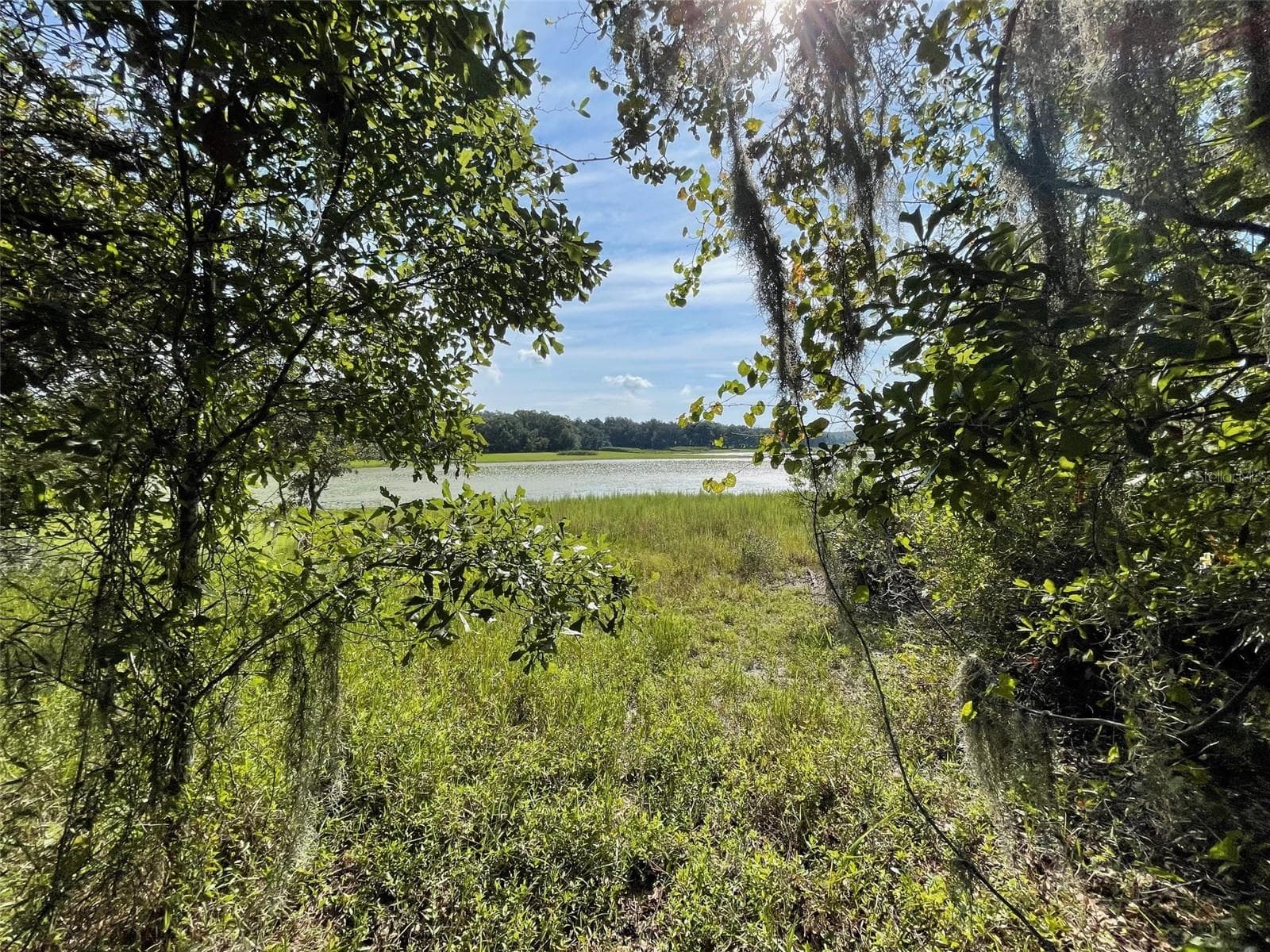 Land at LOTS 13 & 14 SW SHOREWOOD DR, DUNNELLON, photo 3 of 14