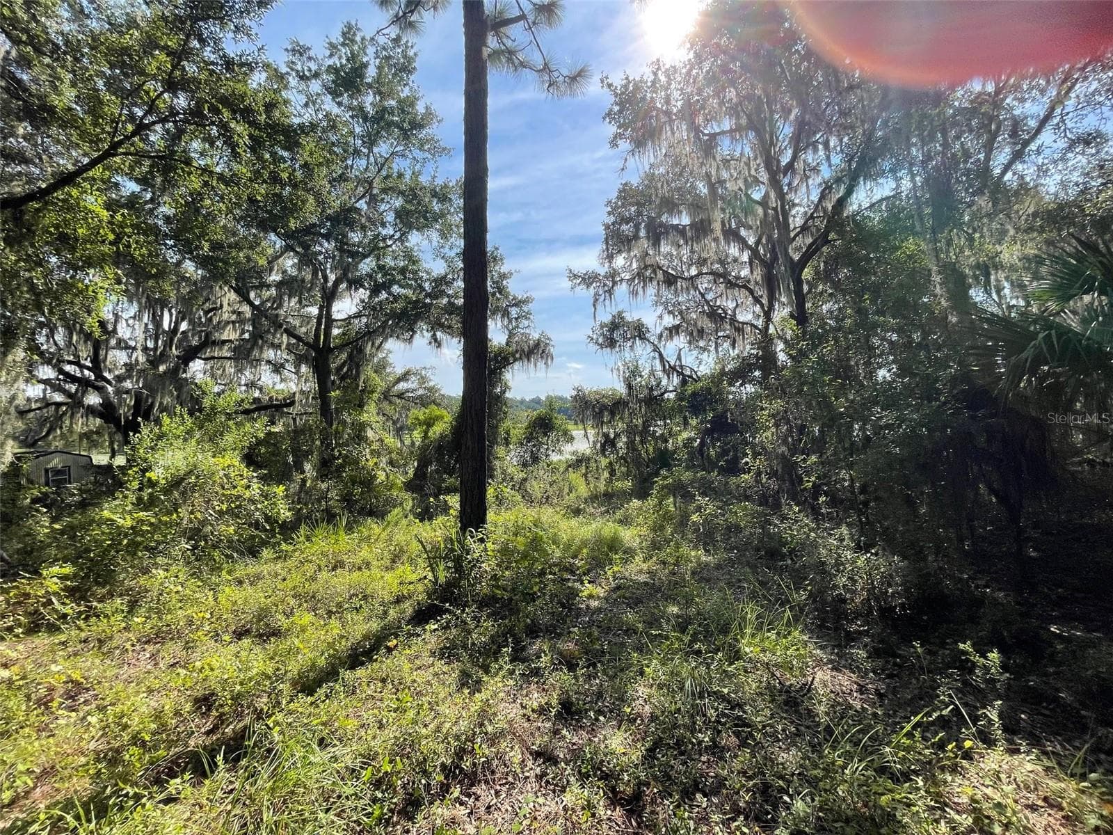 Land at LOTS 13 & 14 SW SHOREWOOD DR, DUNNELLON, photo 5 of 14