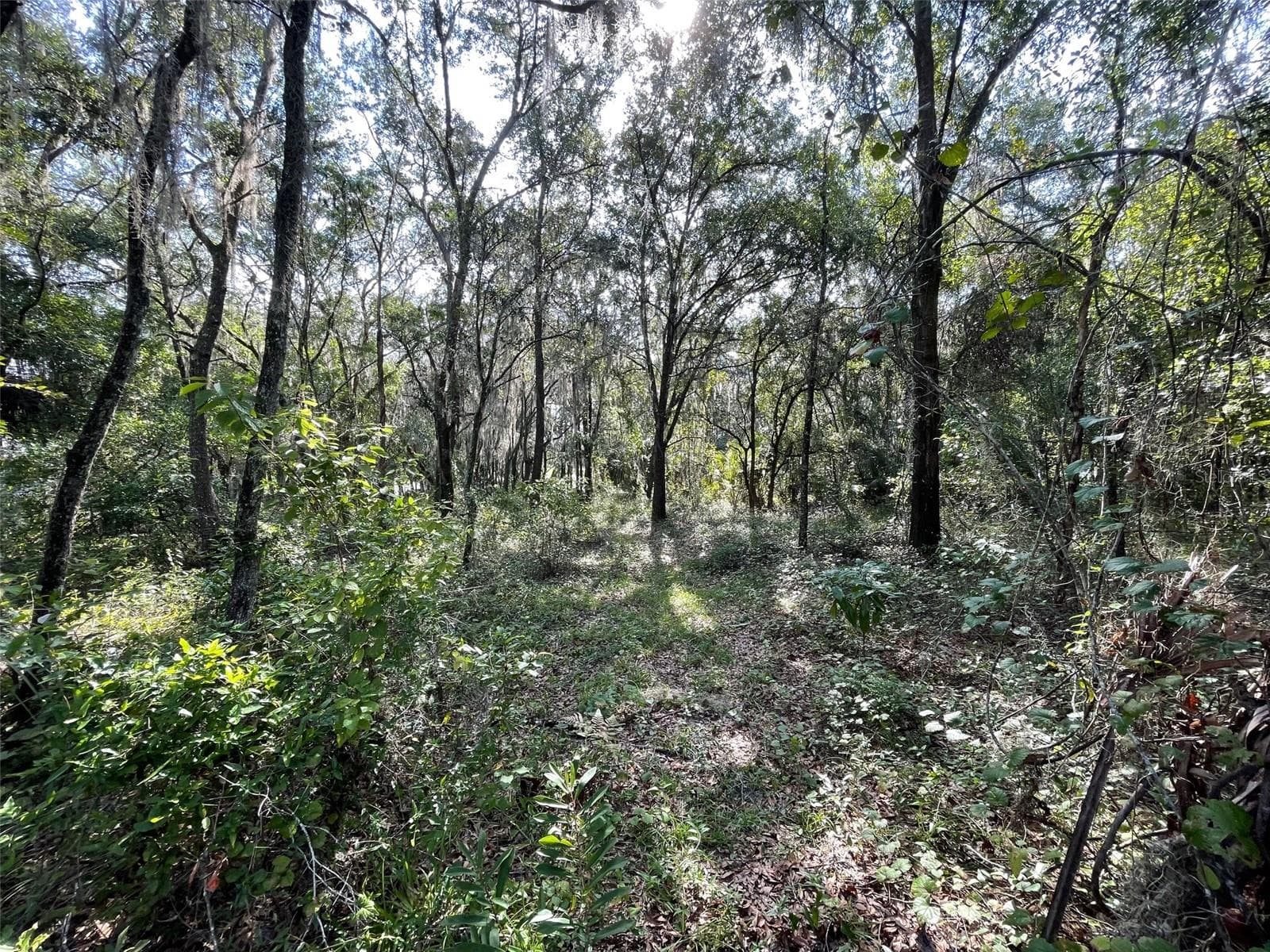 Land at LOTS 13 & 14 SW SHOREWOOD DR, DUNNELLON, photo 6 of 14