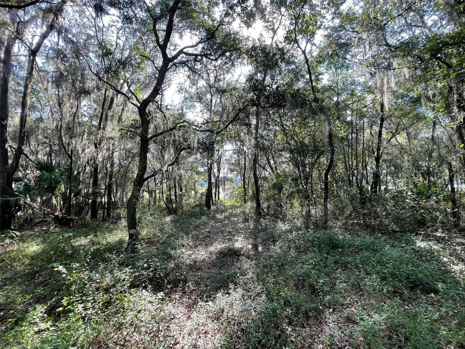 Land at LOTS 13 & 14 SW SHOREWOOD DR, DUNNELLON, photo 7 of 14