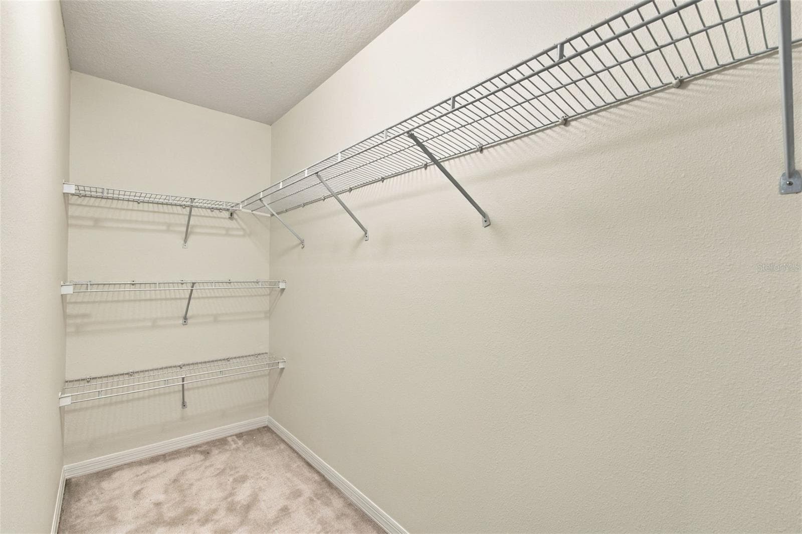 4th Bedroom Closet - 19108 CENTRE ROSE BLVD, LUTZ
