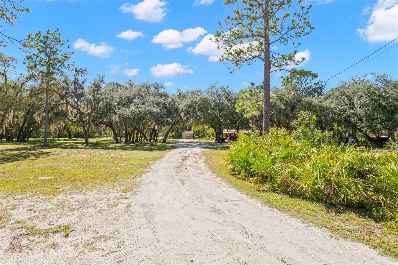 Driveway - 3310 BOB CAT TRL, LAKE WALES