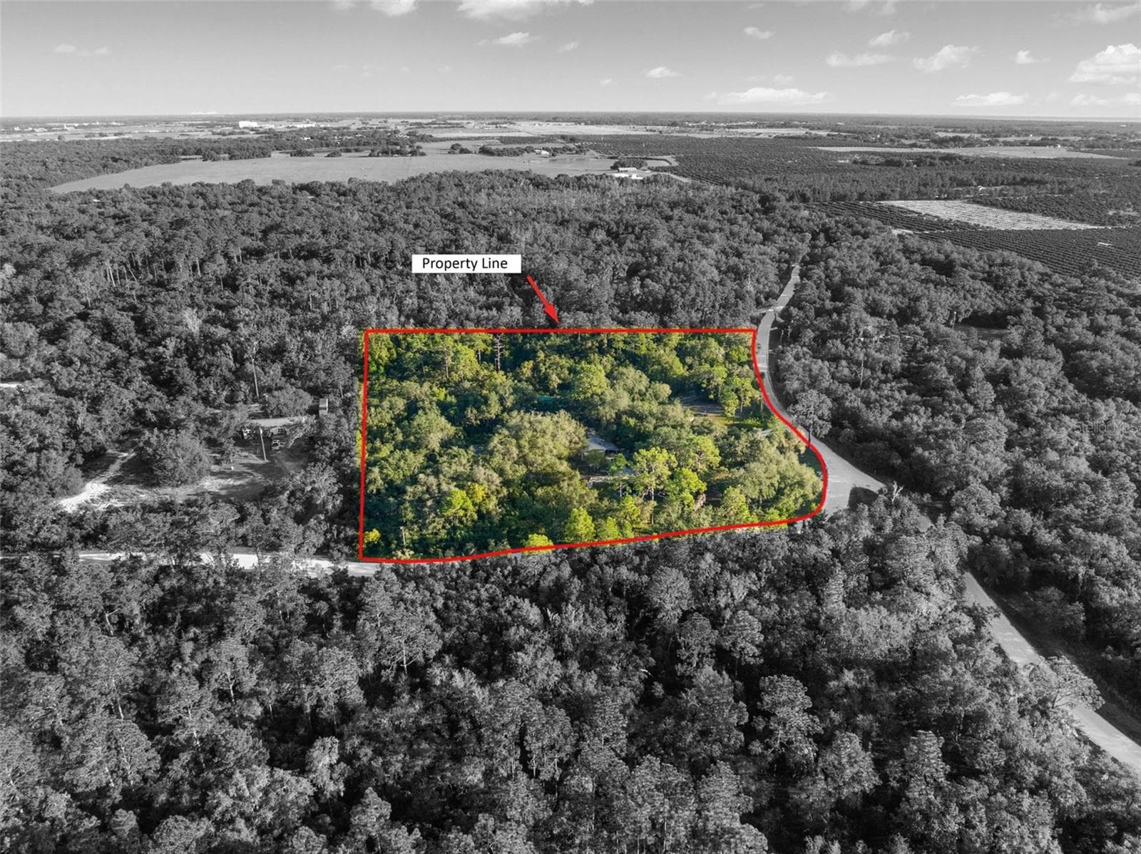 Aerial - 3310 BOB CAT TRL, LAKE WALES