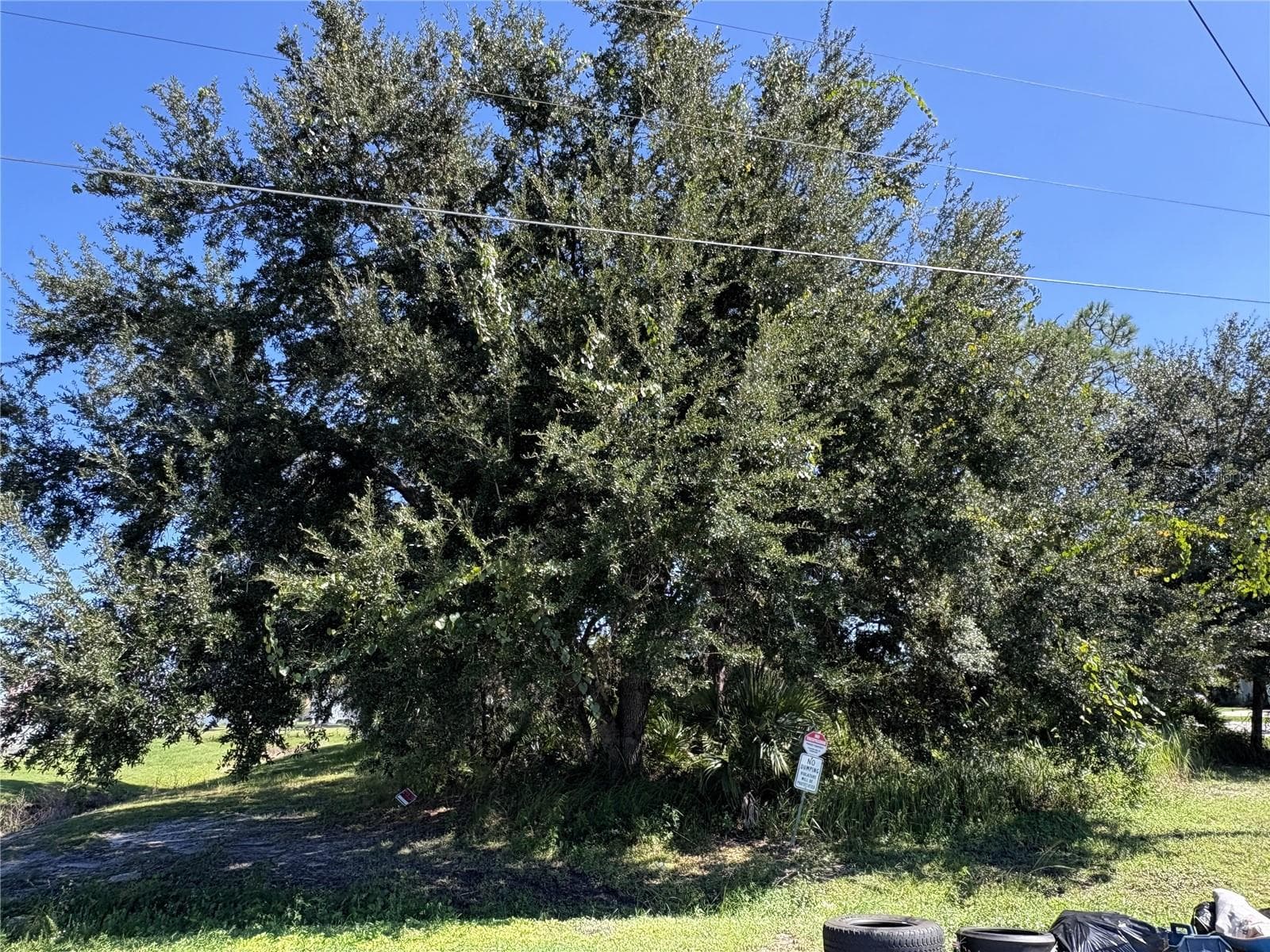 Land at 539 EAGLE CT #Lot 23, POINCIANA, photo 2 of 10