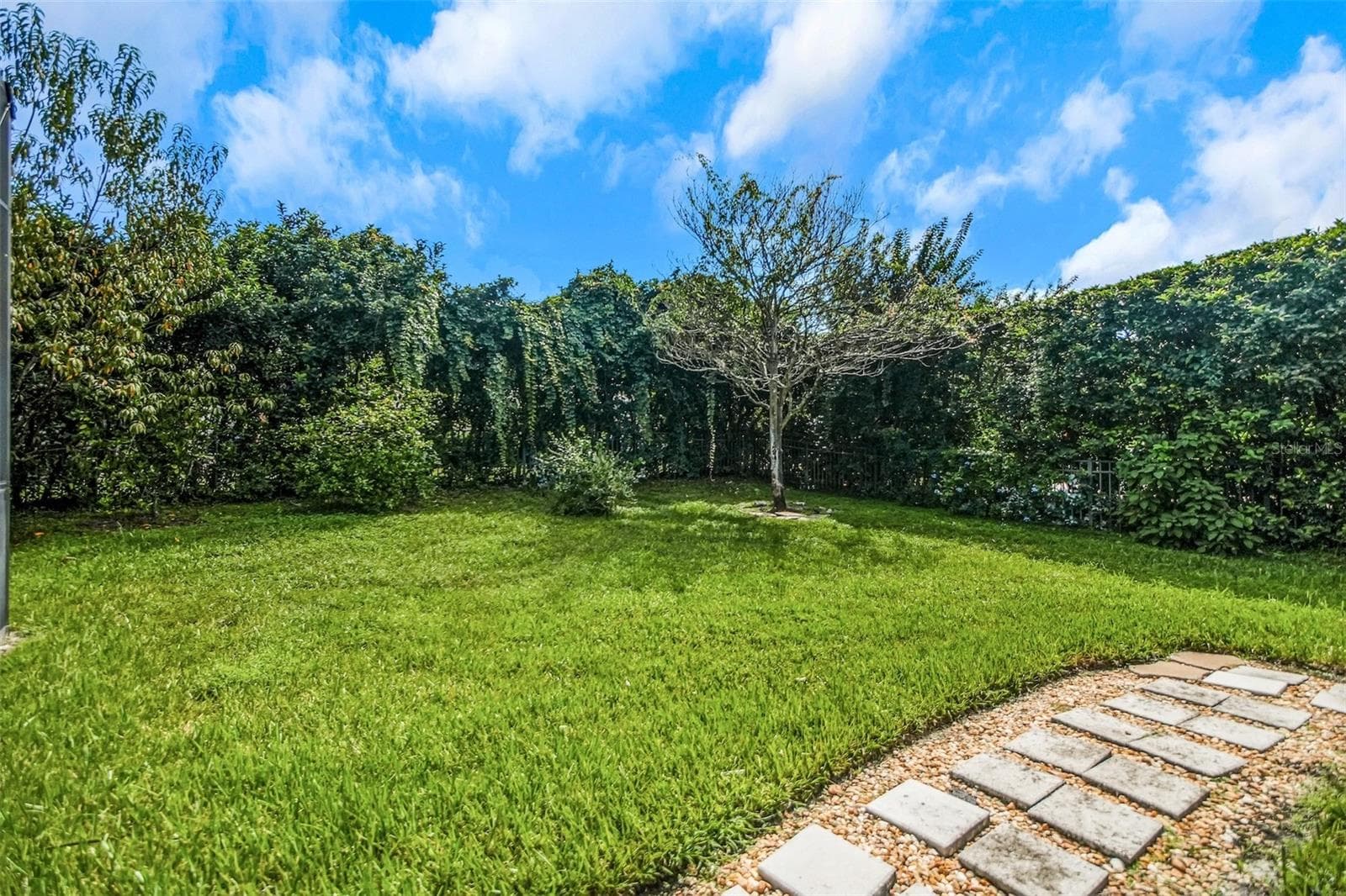 Backyard - 1606 CHERRY LAKE WAY, LAKE MARY