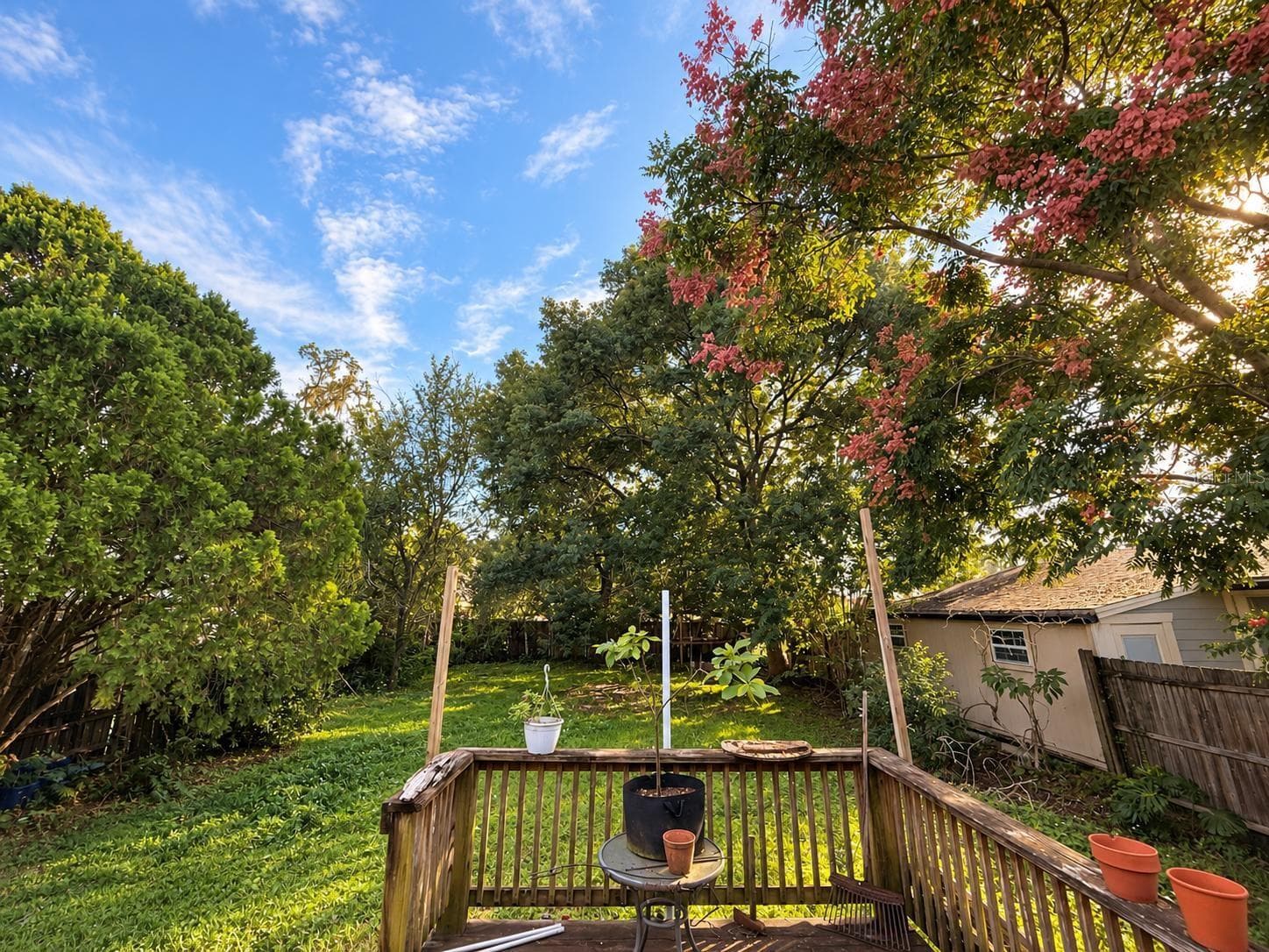 Backyard and porch view - 2640 BEVERLY AVE, WINTER PARK