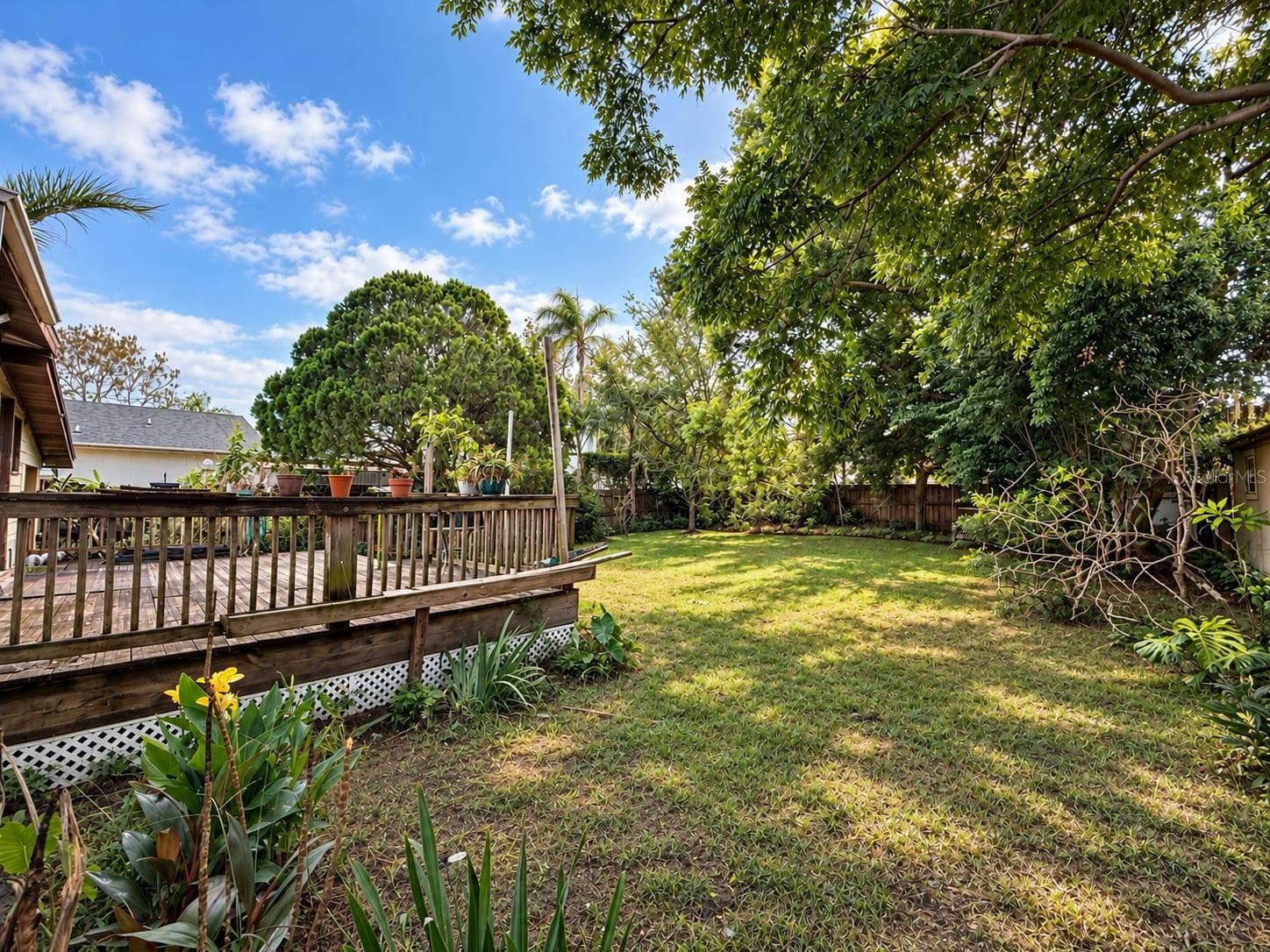 Backyard field - 2640 BEVERLY AVE, WINTER PARK
