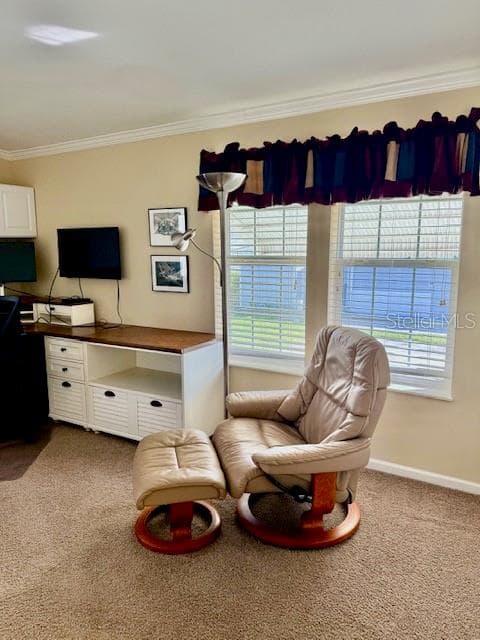 Manufactured Home at 11082 SUNBURST LN, FORT MYERS, photo 15 of 29