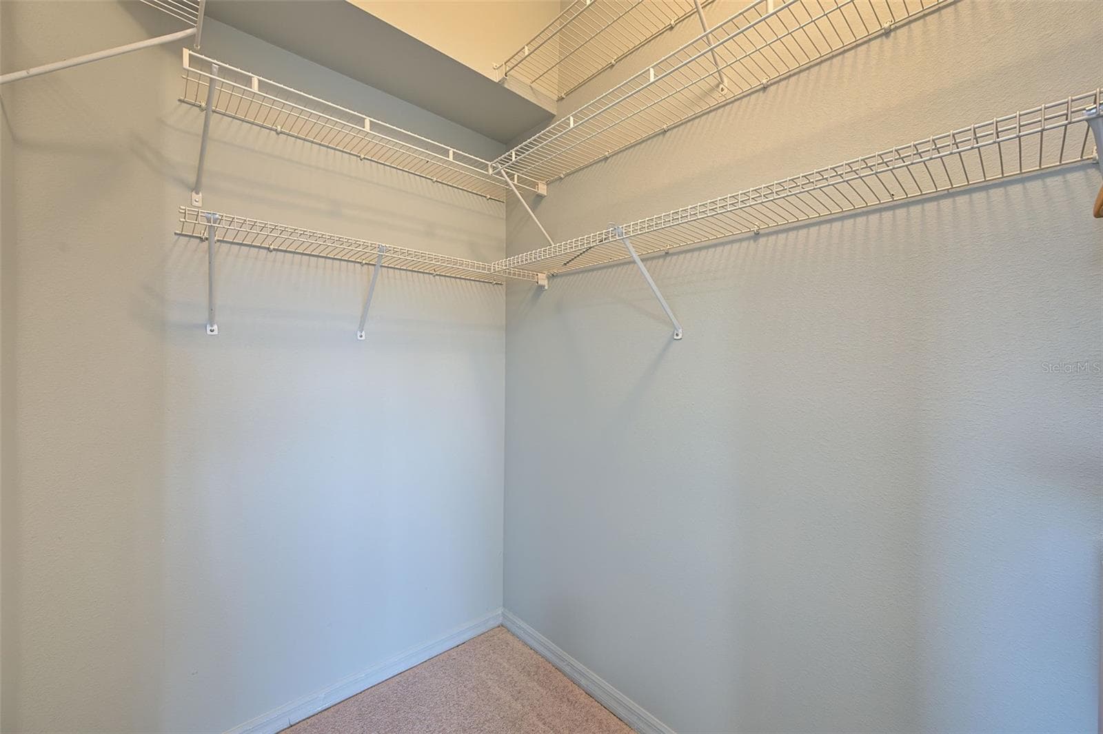 Primary walk in closet - 2555 NEWBERN DR, CLEARWATER
