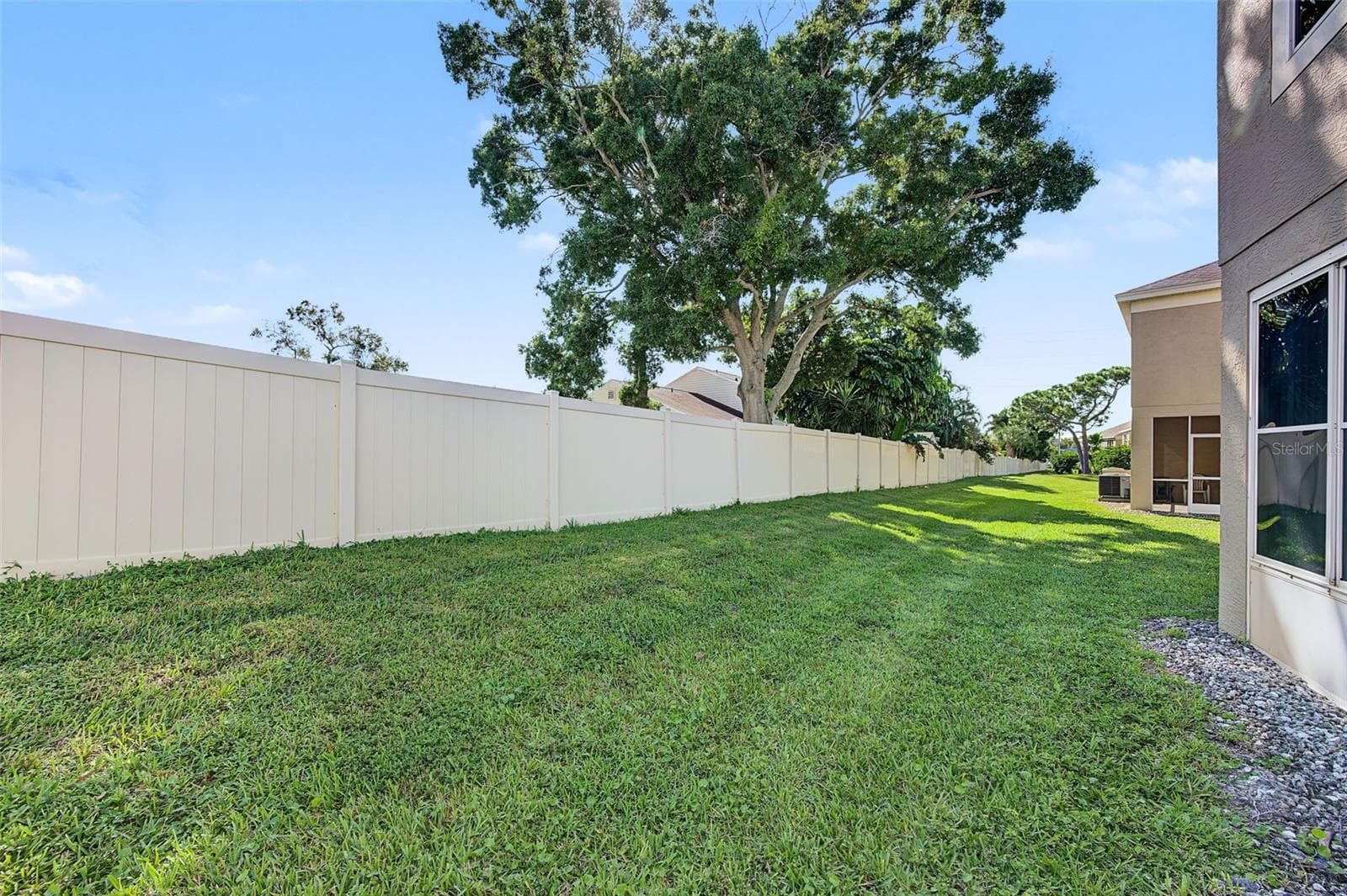 Back Yard - 2555 NEWBERN DR, CLEARWATER