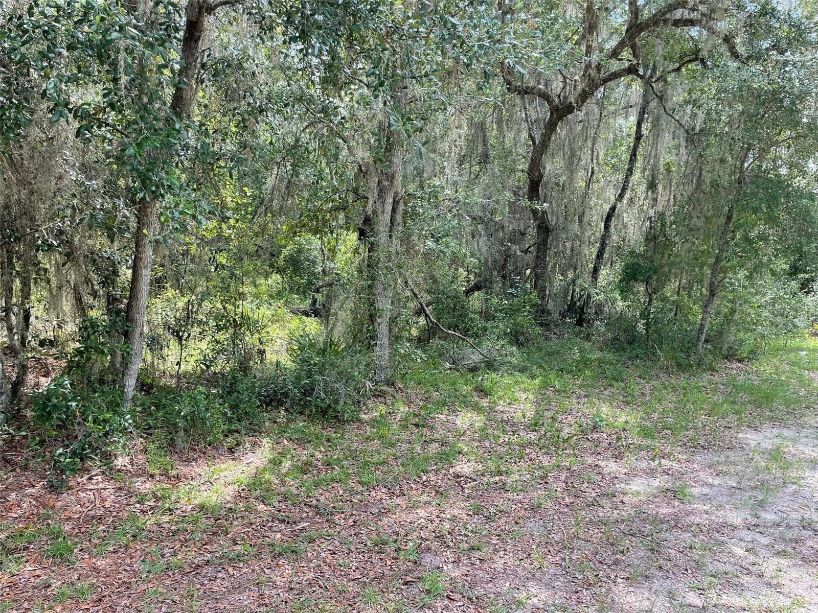 Land at LOTS 15 & 16 SW SHOREWOOD DR, DUNNELLON, photo 2 of 11