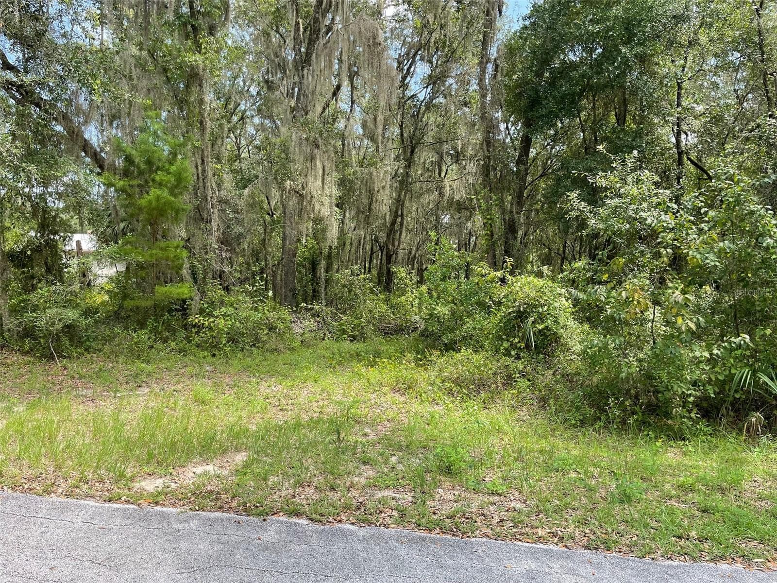 Land at LOTS 15 & 16 SW SHOREWOOD DR, DUNNELLON, photo 3 of 11