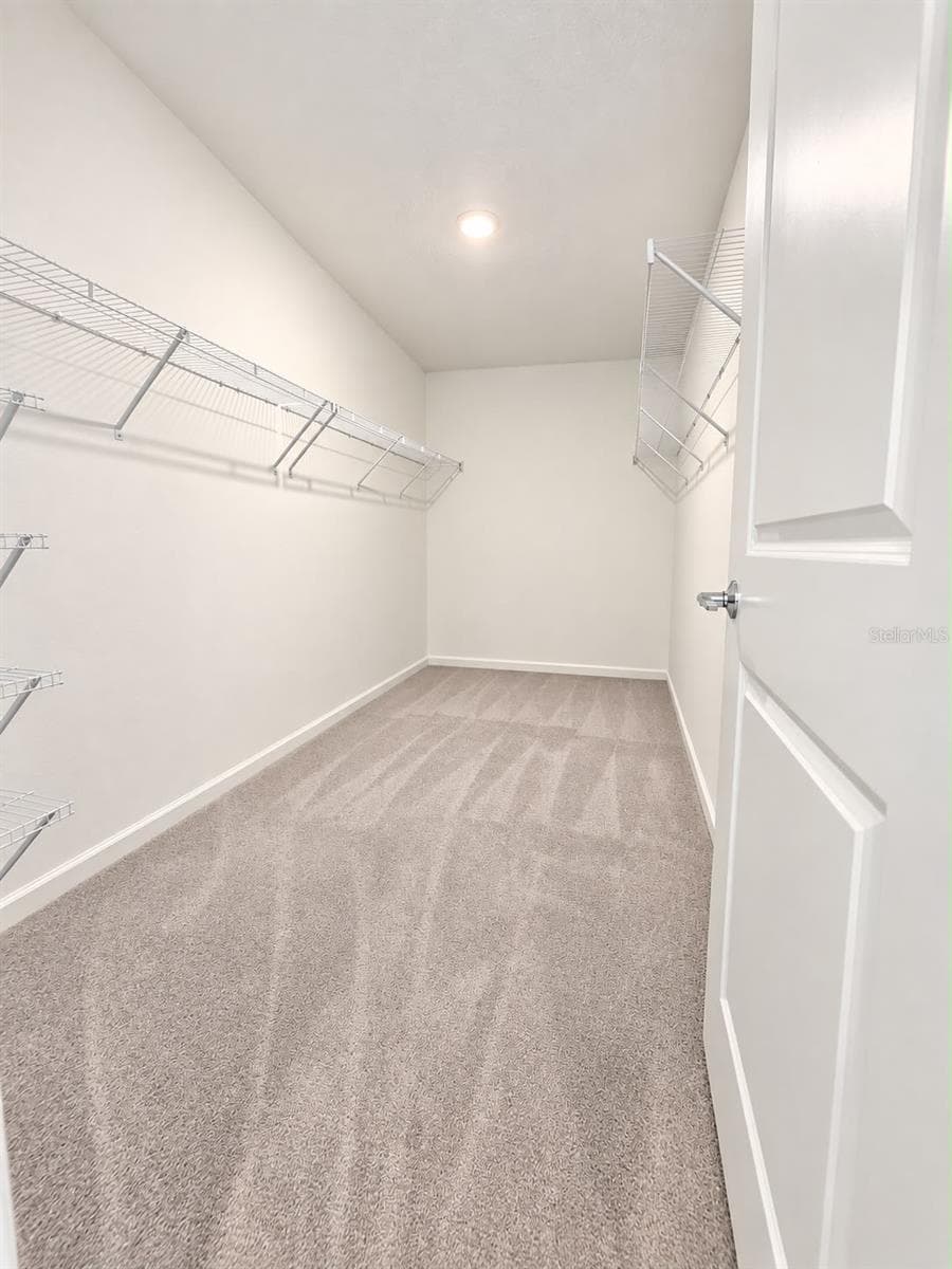 Walk In Closet - 285 PINEYWOODS ST, ST CLOUD