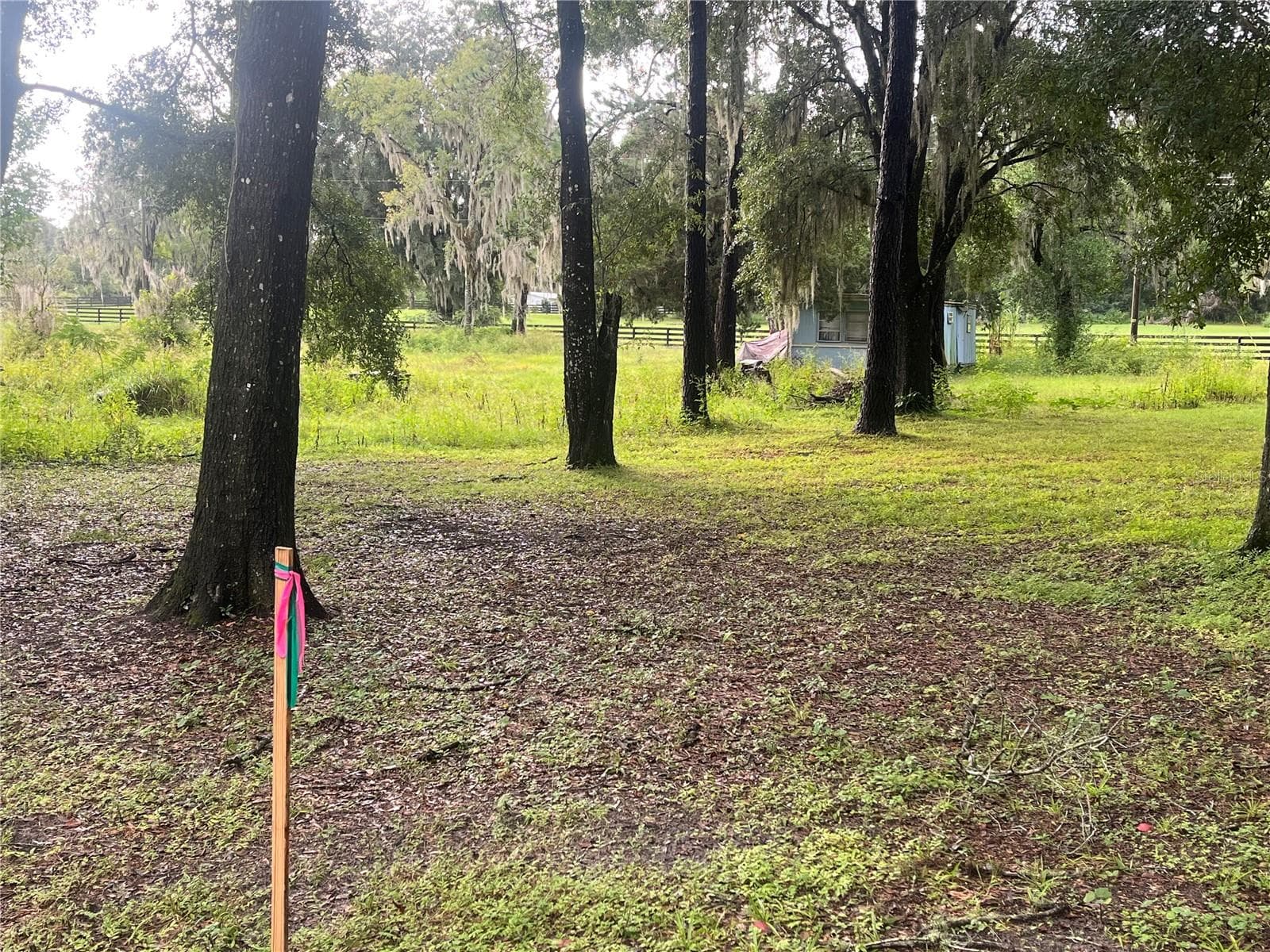 Single Family Residence at 6404 SW 9 AVE, OCALA, photo 2 of 20
