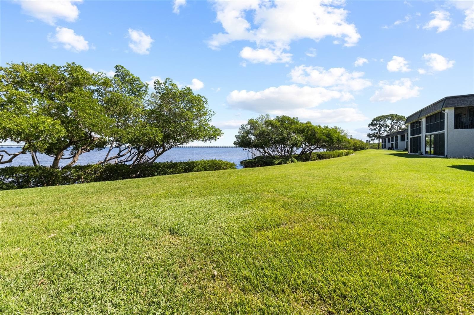 View of mangroves from back yard - 2980 HAINES BAYSHORE RD #105, CLEARWATER