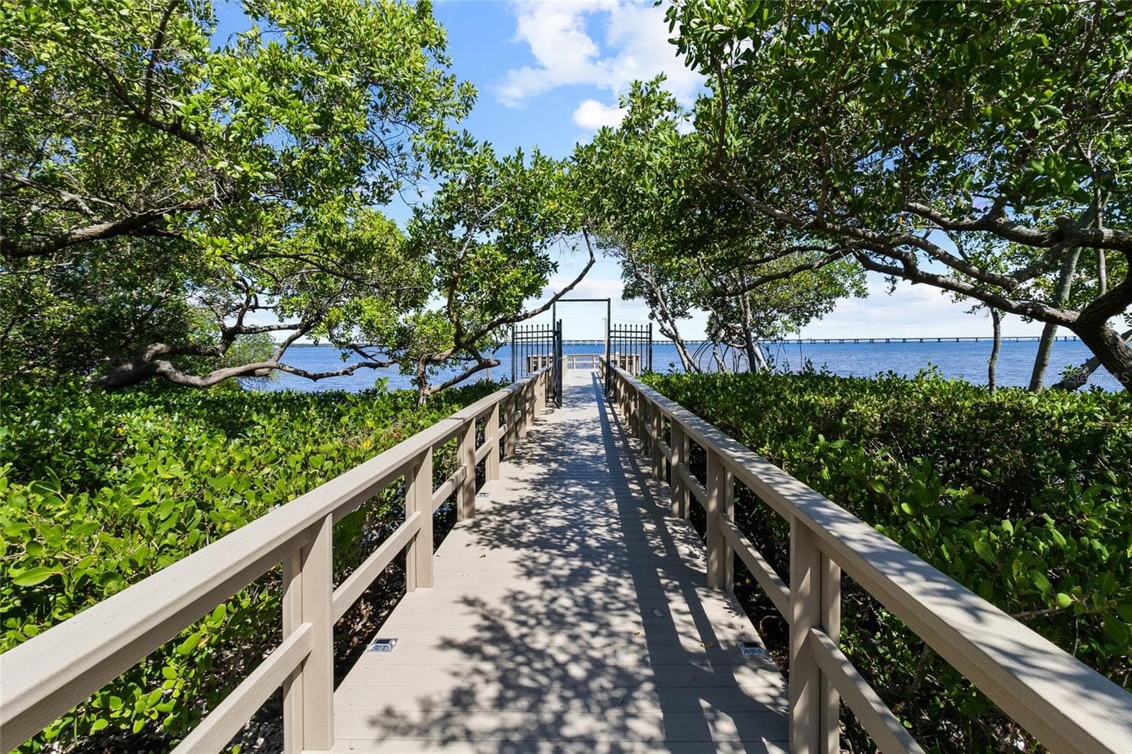 View walking to the private dock - 2980 HAINES BAYSHORE RD #105, CLEARWATER