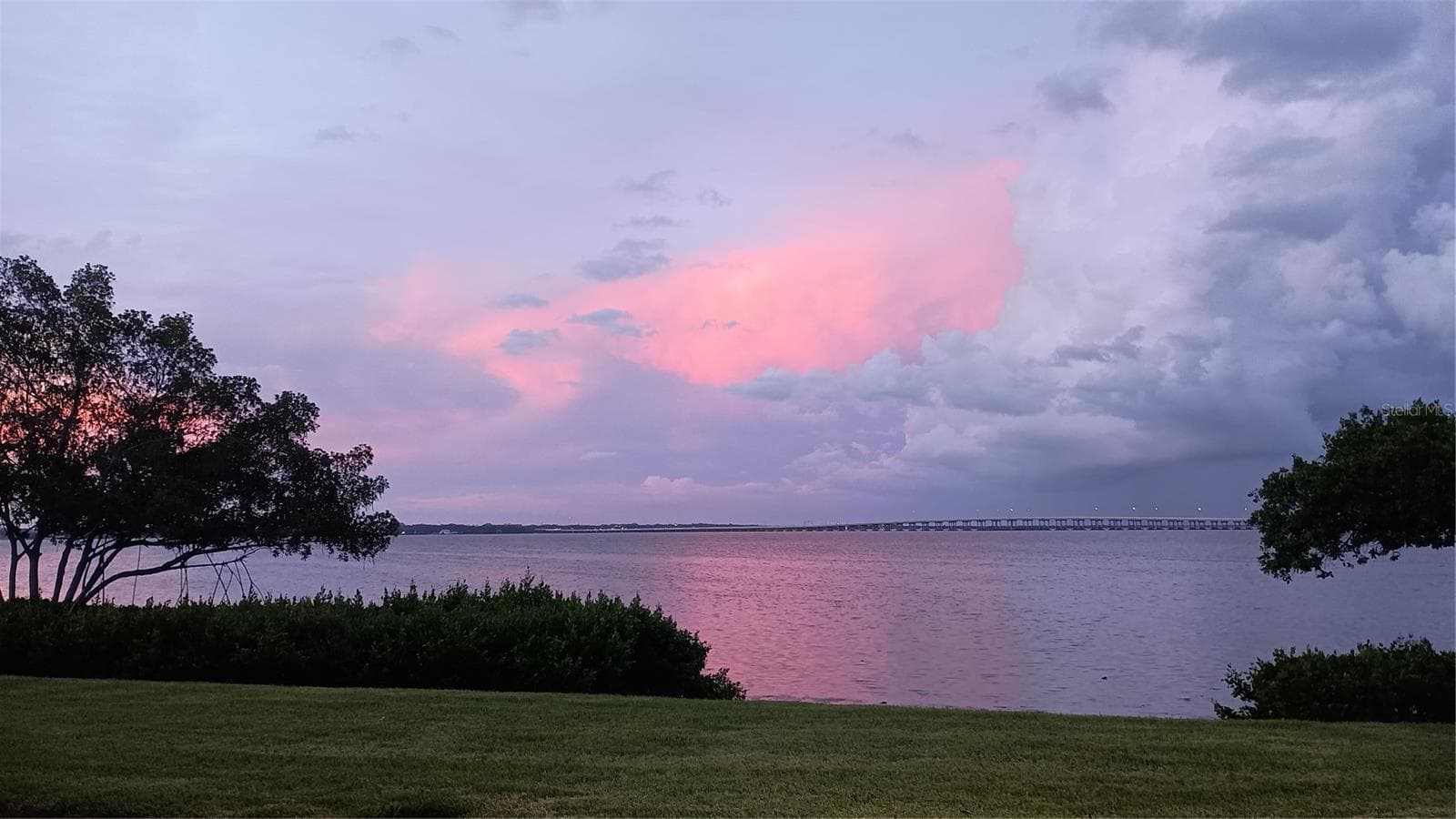 Back yard view - 2980 HAINES BAYSHORE RD #105, CLEARWATER