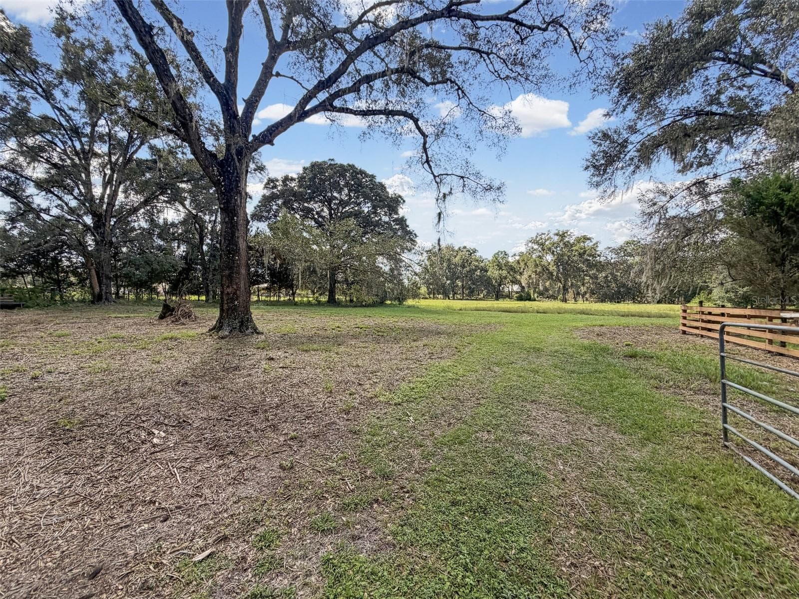 Single Family Residence at 15561 PATRIOT DR, BROOKSVILLE, photo 69 of 82