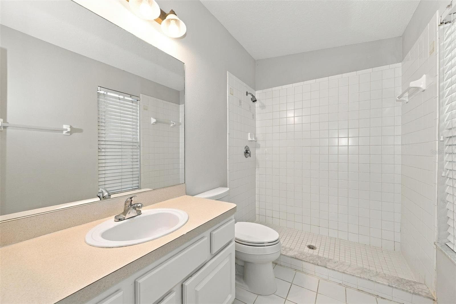 Primary Bathroom - 10313 WILLOW LEAF TRL, TAMPA